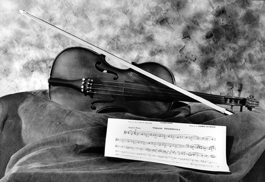 Violino