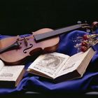 Violino su blu