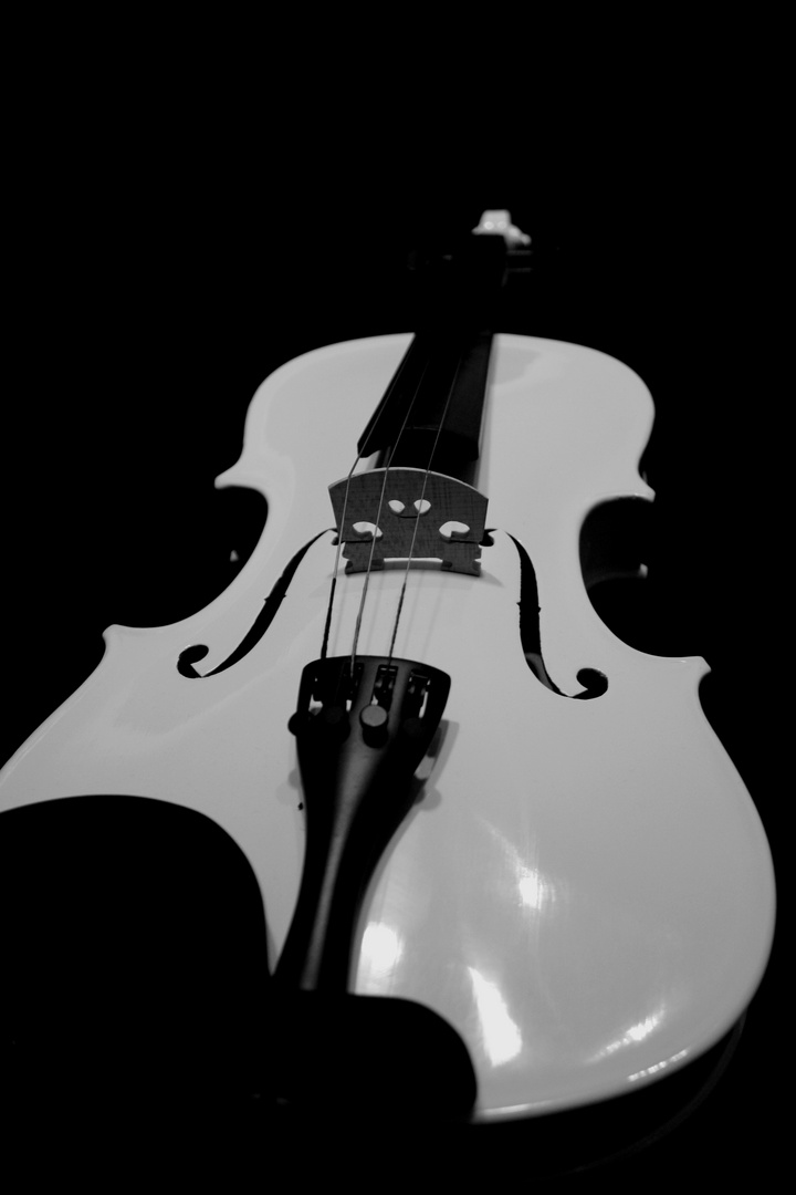 violon infini