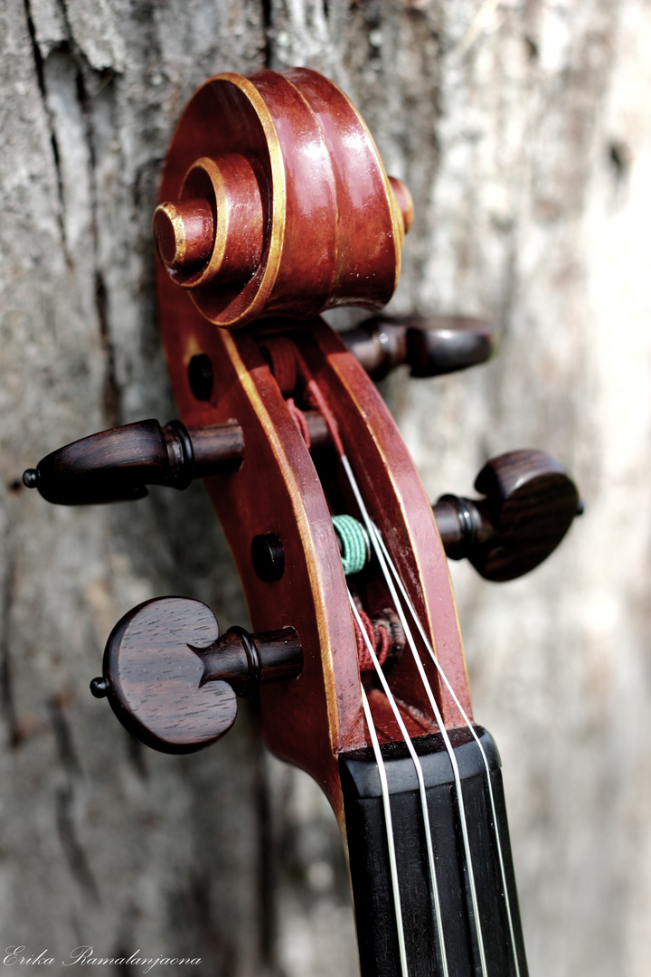 Violon2