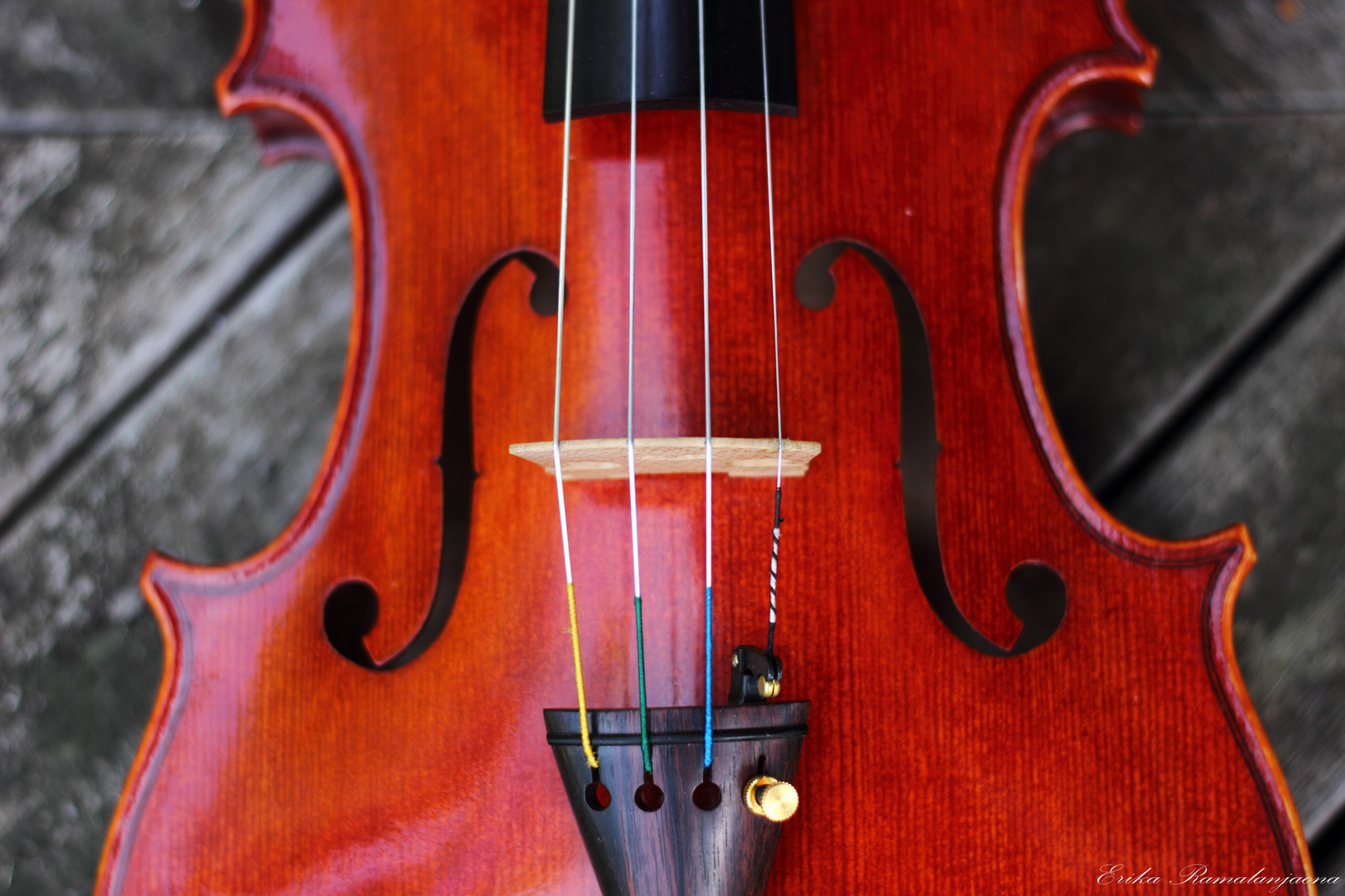 Violon3