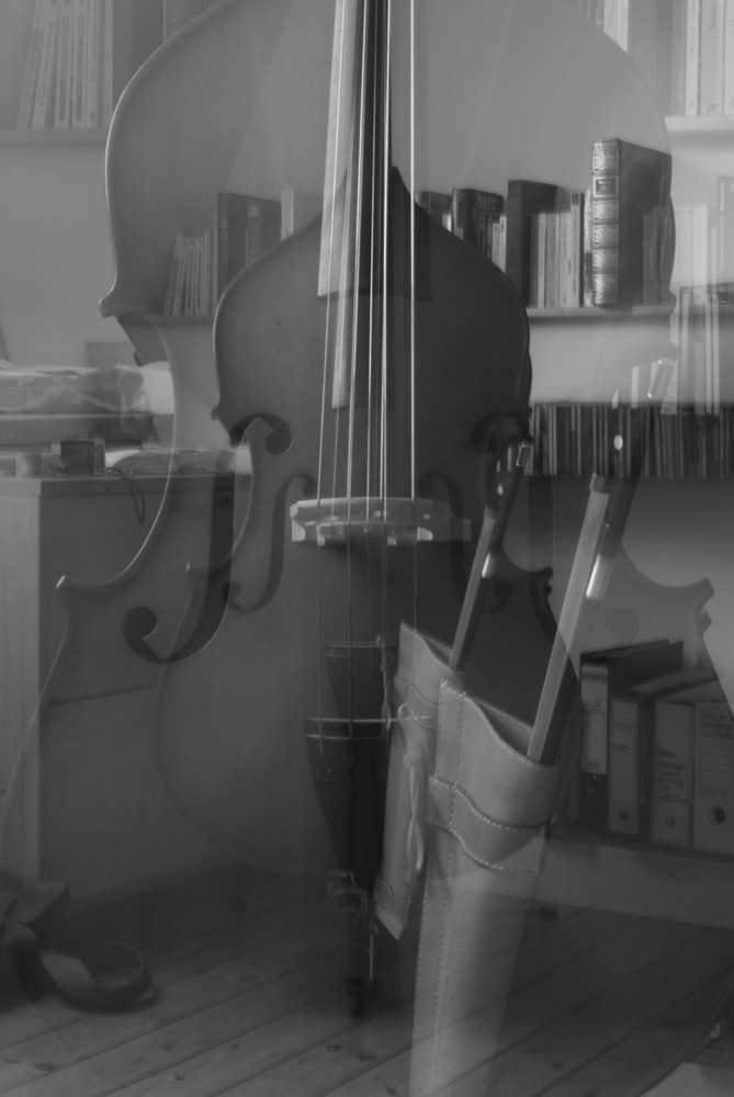 Violoncello