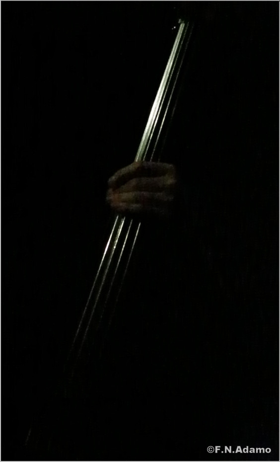 violoncello