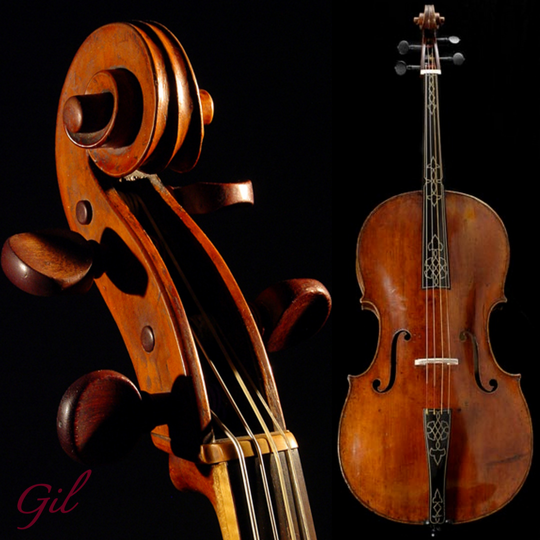 Violoncello