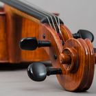 Violoncello