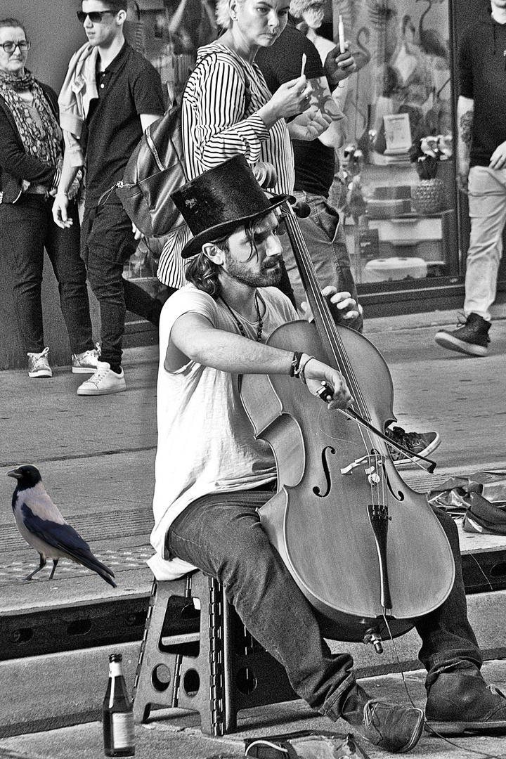 Vioncellista a Piazza Maggiore