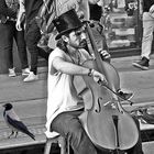 Vioncellista a Piazza Maggiore