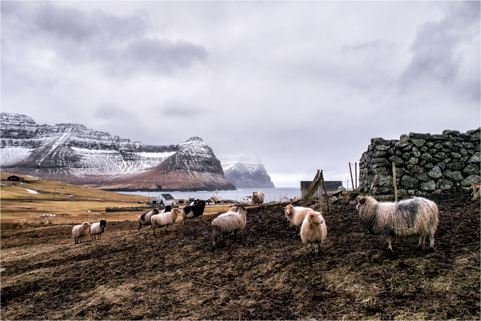 Viðoy Foto & Bild europe, scandinavia, faroe islands färöer Bilder
