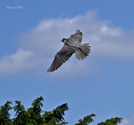 Virage serré à gauche