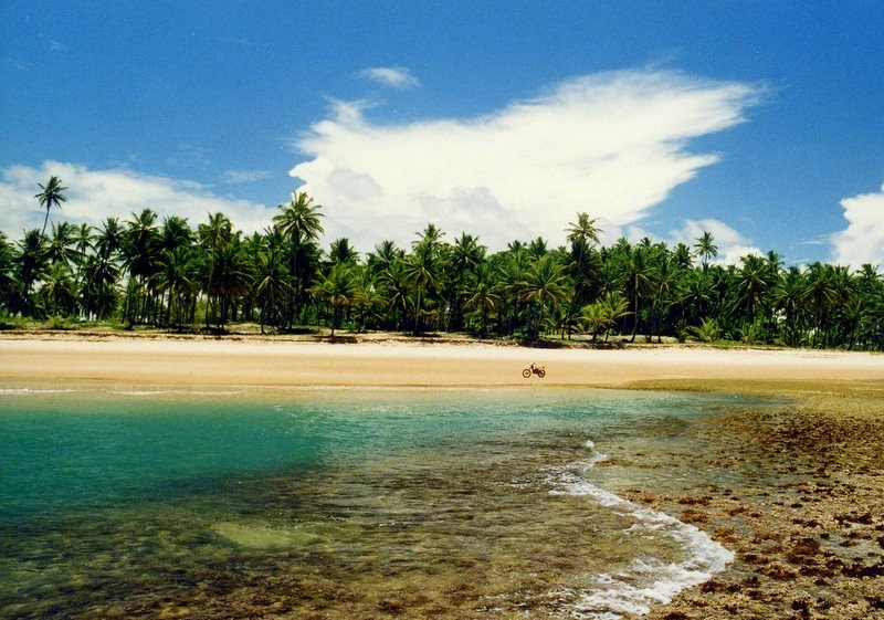 Virgin beach - Praia dos Algodoes - Marau - Bahia - Brazil