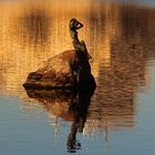 Virgin in the golden light