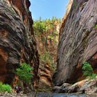 Virgin River #1