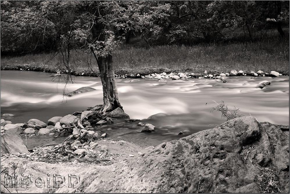 Virgin River