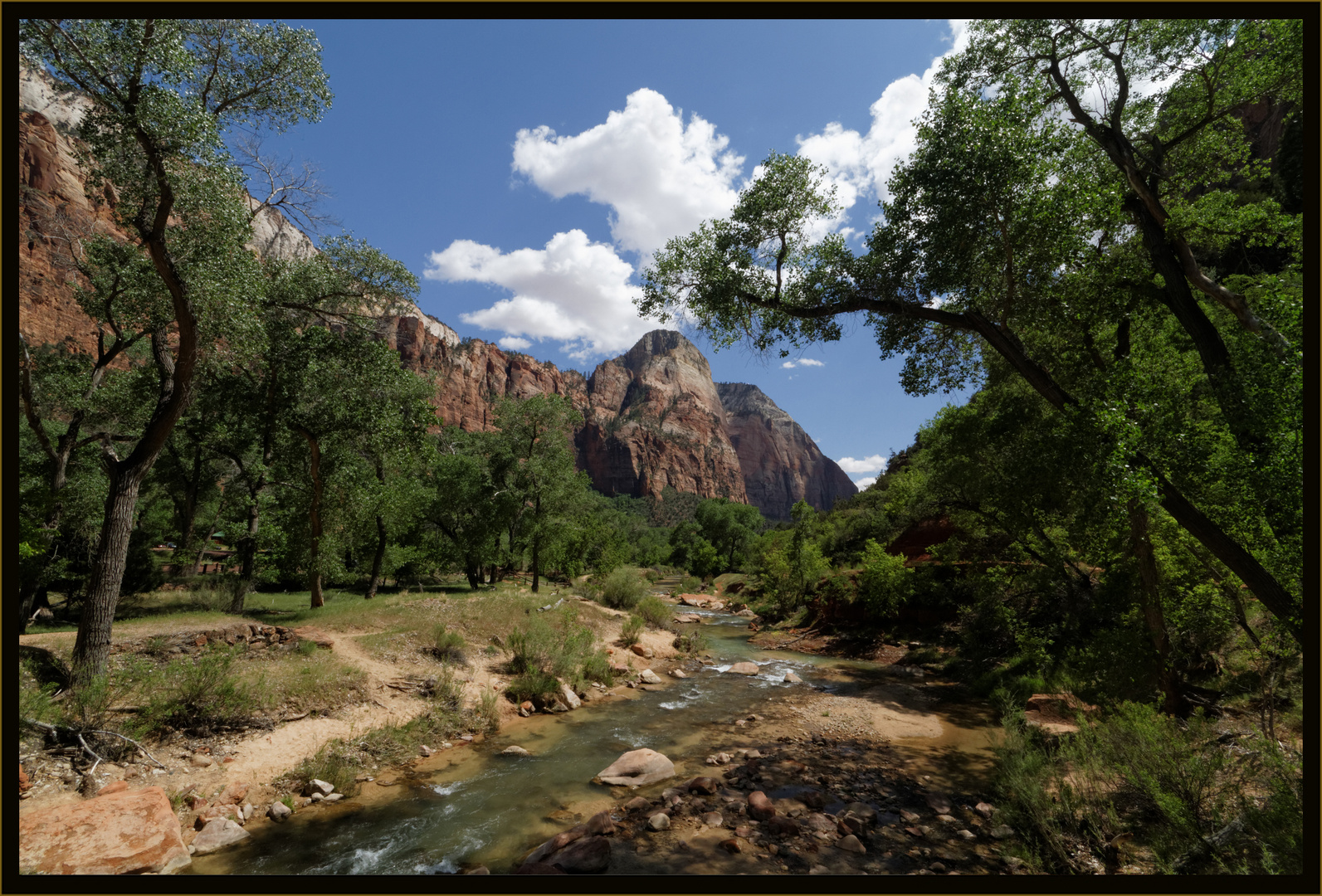 Virgin River im Zion NP