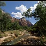 Virgin River im Zion NP