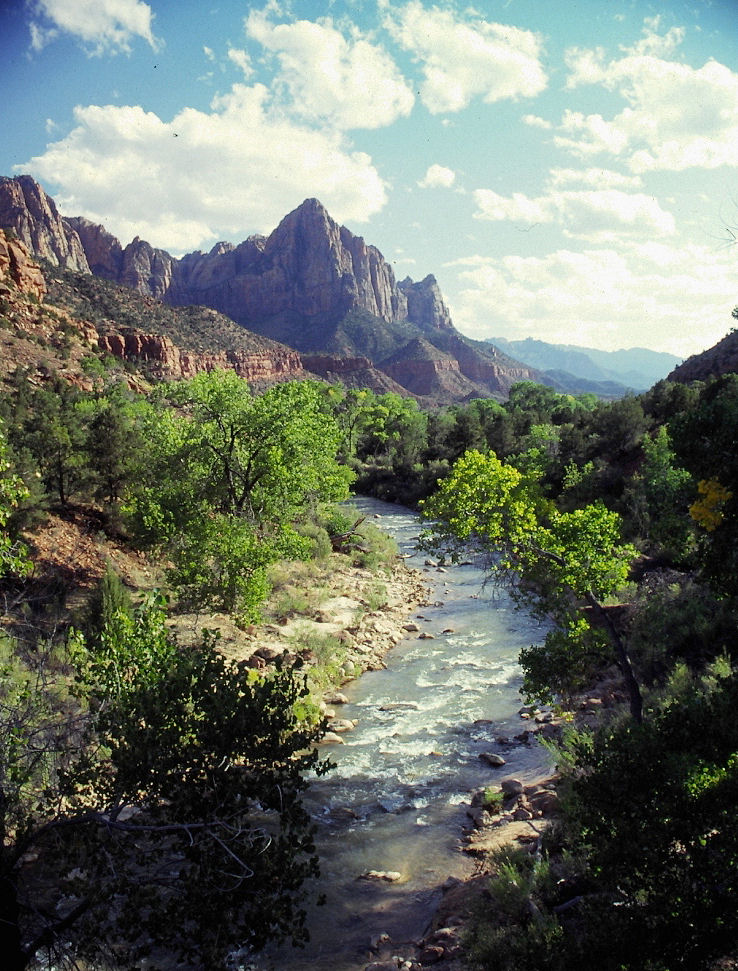 Virgin River Zion Nat. Park (Utah) 1994