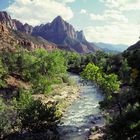 Virgin River Zion Nat. Park (Utah) 1994