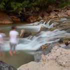 Virgin River; Zion NP