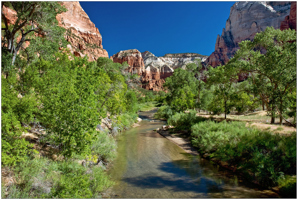 Virgin River Zion N.P. Utah USA Foto & Bild north america