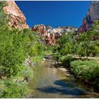 Virgin River - Zion N.P. - Utah - USA