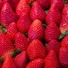 Virgin Strawberries