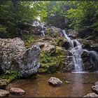 Virginia | Dark Hollow Falls |