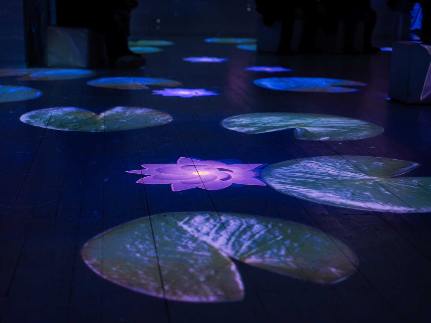 Virtual Water Lilies