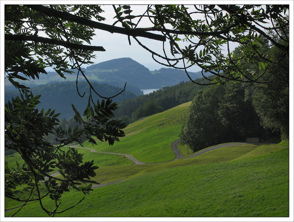 virtuell mal etwas vom Türlersee weggezoomt... ;-)