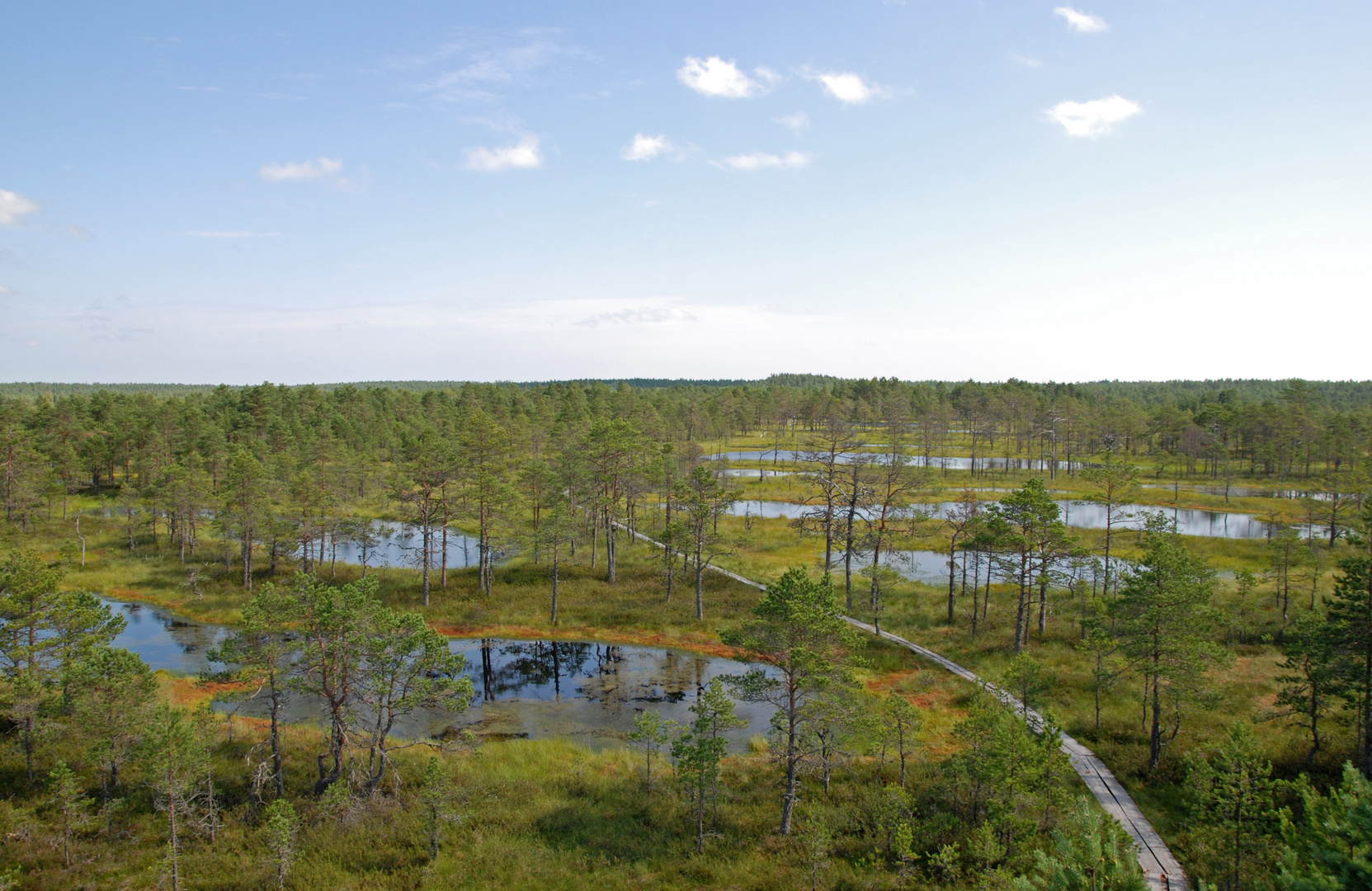 Viru Raba, Moorlandschaft in Estland