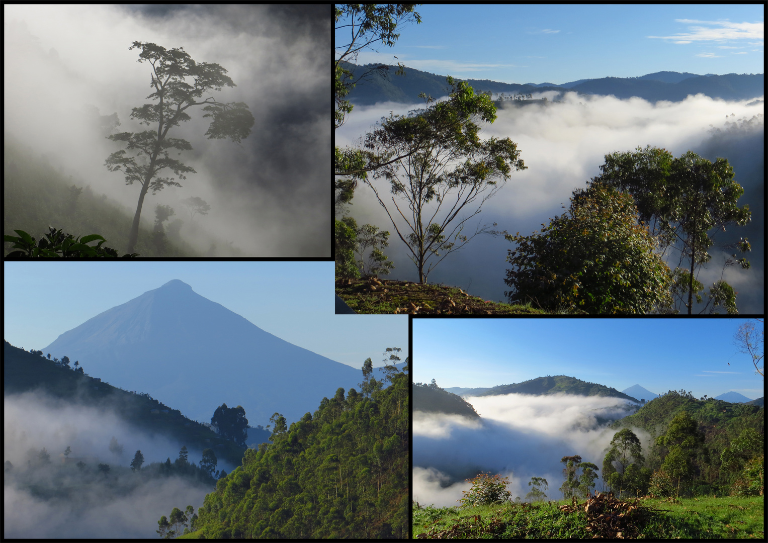 Virunga-Berge