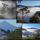 Virunga-Berge