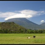 Virunga Vulkane, Kisoro, Uganda