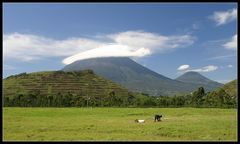 Virunga Vulkane, Kisoro, Uganda