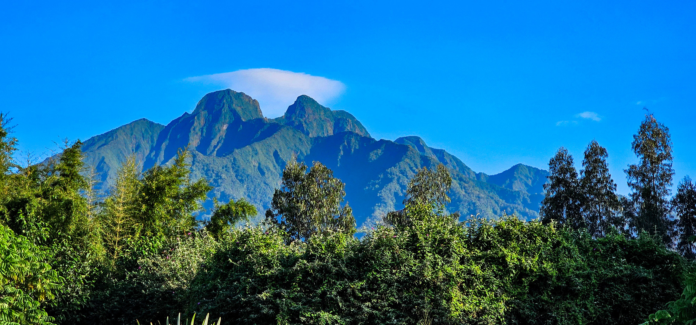 Virunga Vulkane- Sabinyo