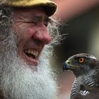 Vis-à-vis: Falkner und Habicht (Accipiter gentilis)