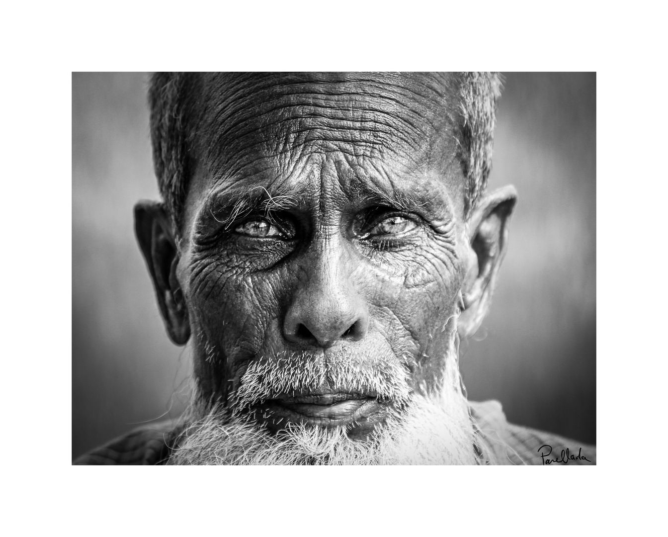 Visage - Bangladesh (2014)