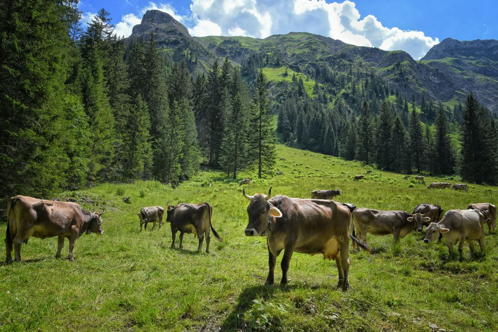 Visalpsee