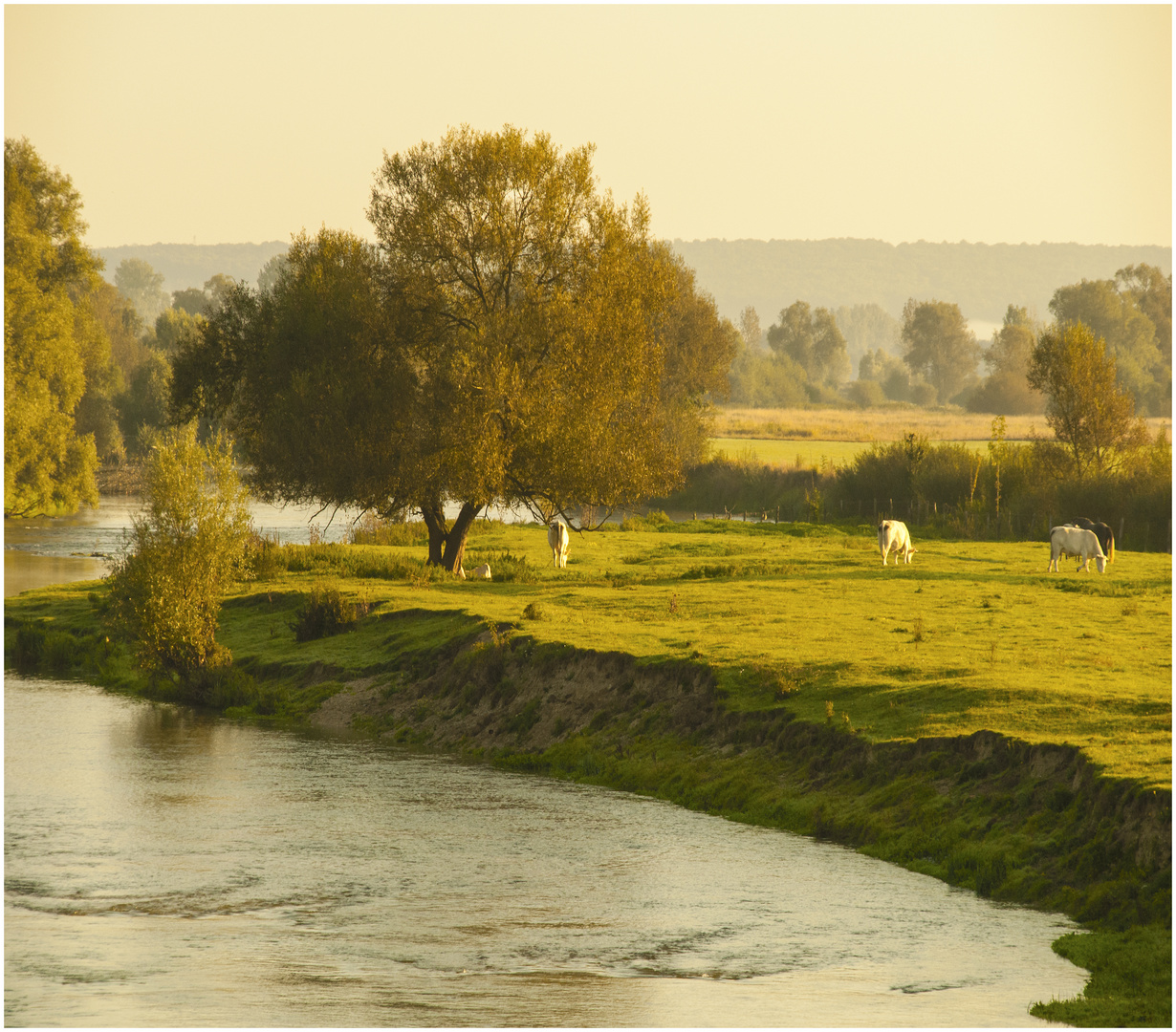 Vision Champêtre 