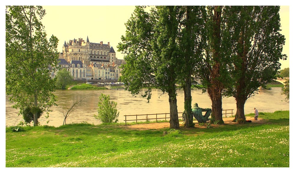 Vision d'Amboise