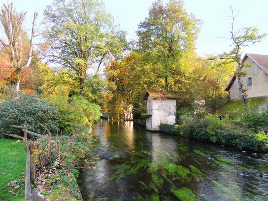 Vision d'automne à Bèze