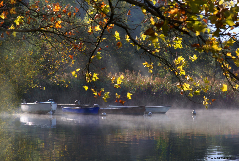 " Vision d'automne "