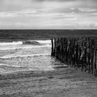 vision en noir/blanc