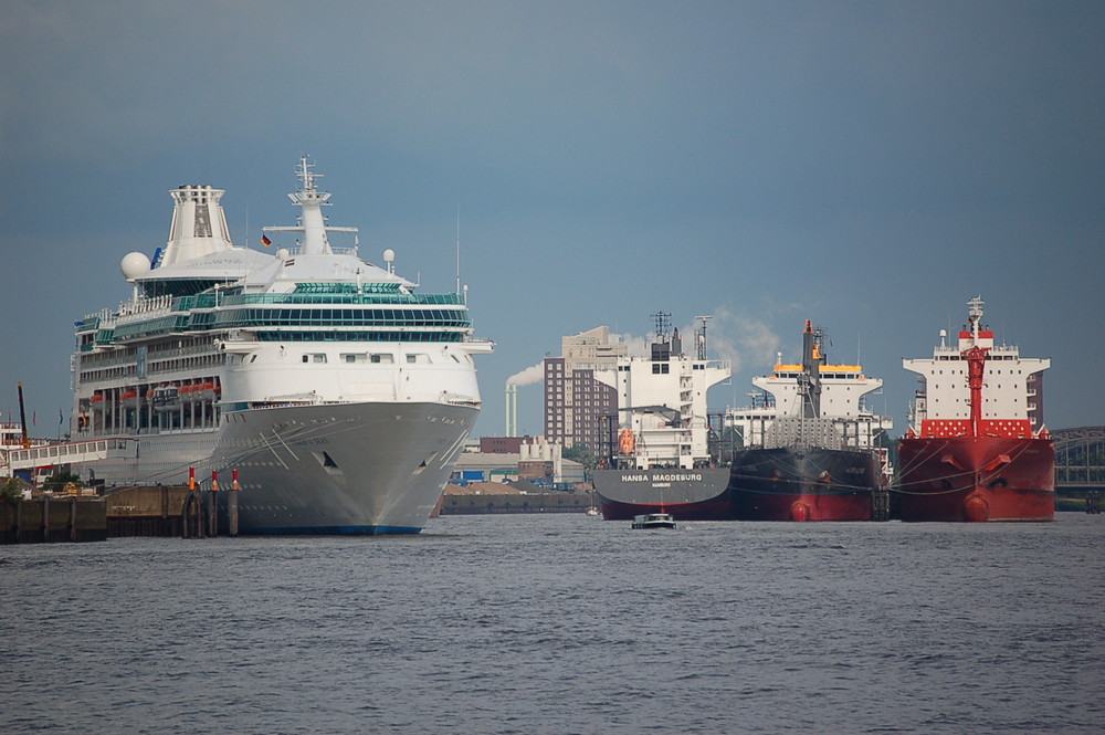 Vision of the Seas