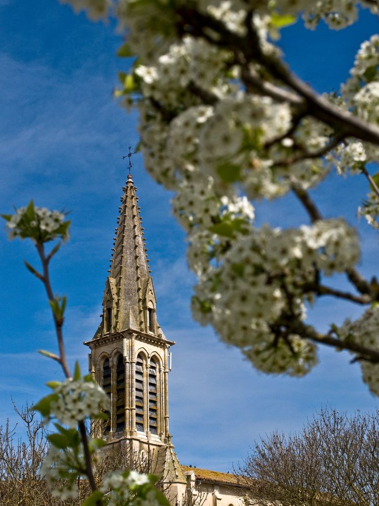 Vision printanière sur le clocher de l’Eglise Saint-Michel