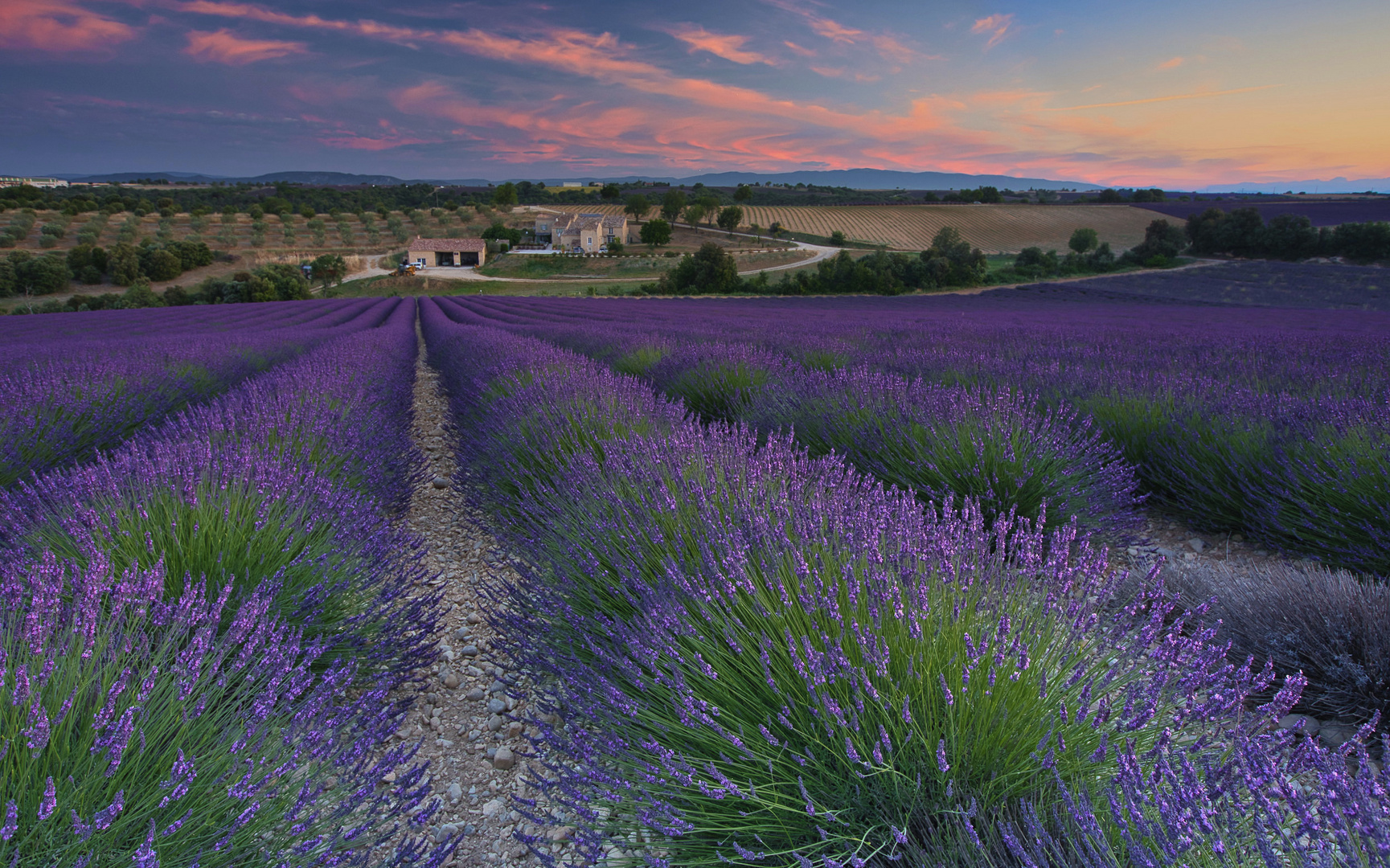 Vision Provençale, Blick aus der Provence