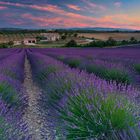 Vision Provençale, Blick aus der Provence