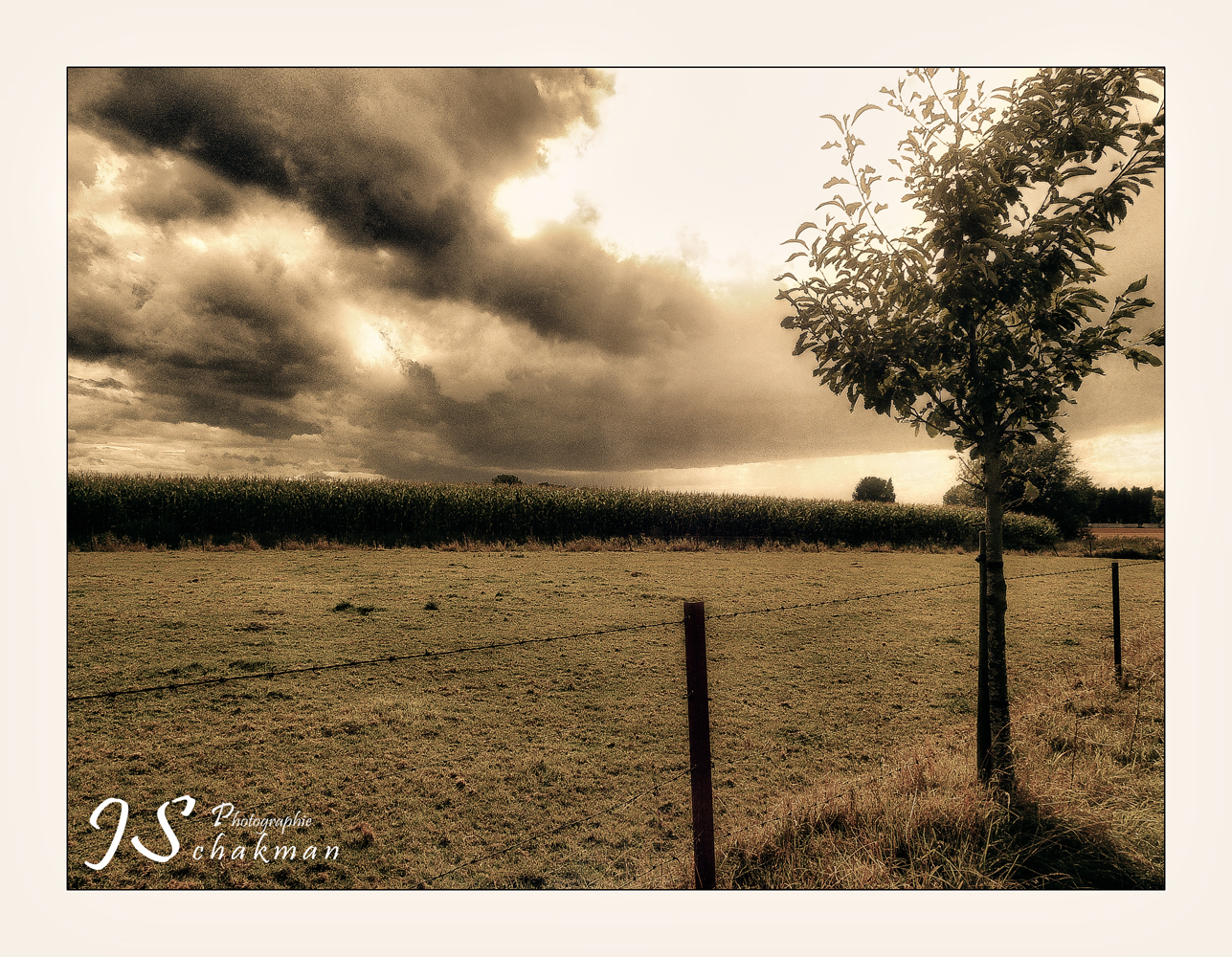 Vision sur les champs de la Chapelle 1