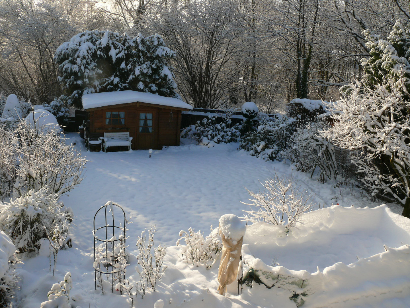 vision von weihnachten-2012, die realität :leider nur schmuddelwetter