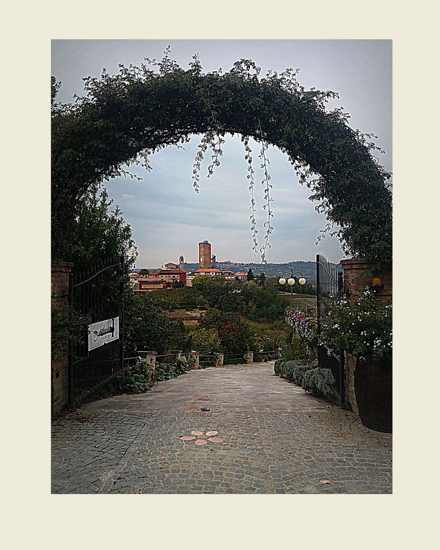 ..Visione di Barbaresco...Langhe