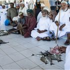 Visiones de Omán-Subasta de pescado en Barka